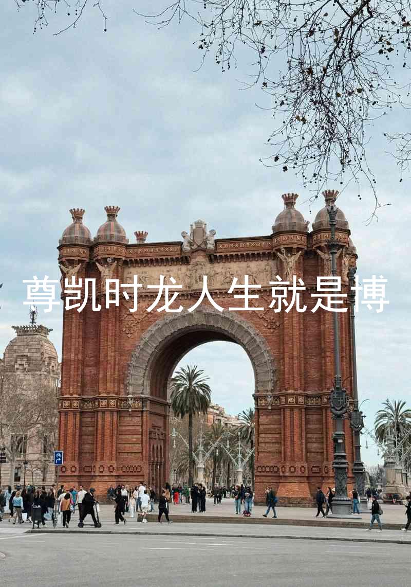 尊凯时龙人生就是博