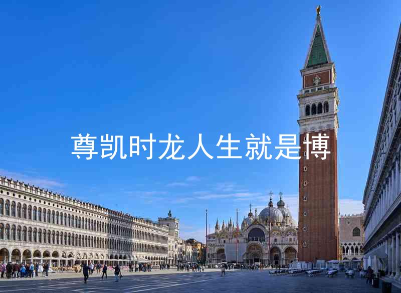 尊凯时龙人生就是博