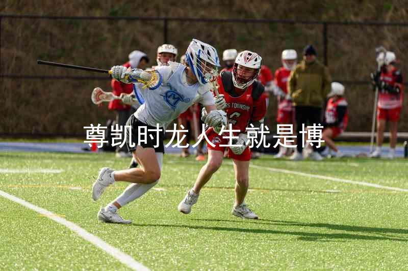 尊凯时龙人生就是博