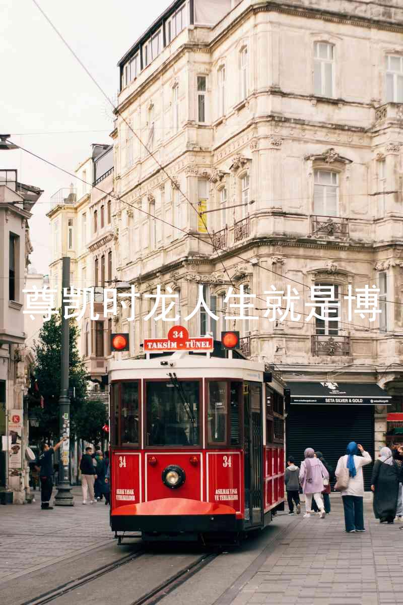 尊凯时龙人生就是博