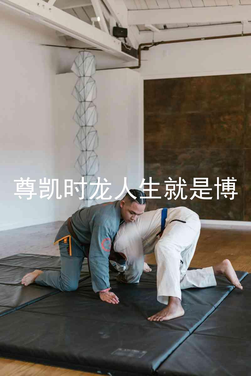 尊凯时龙人生就是博