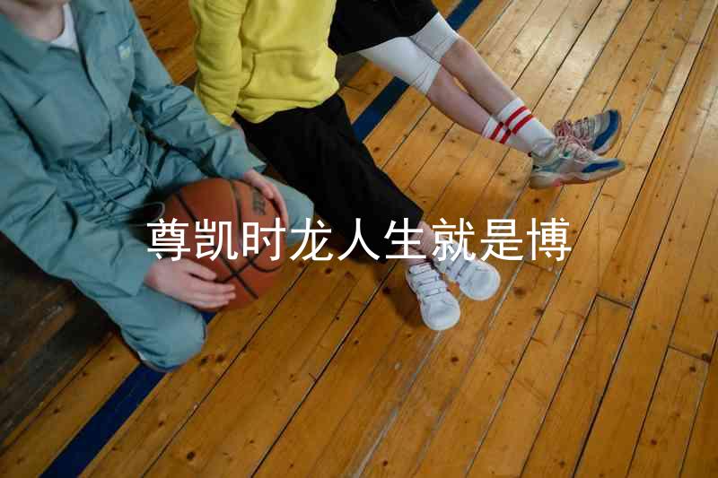 尊凯时龙人生就是博